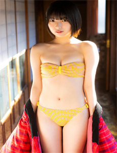 暗宅之谜
