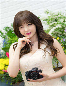 12生肖
